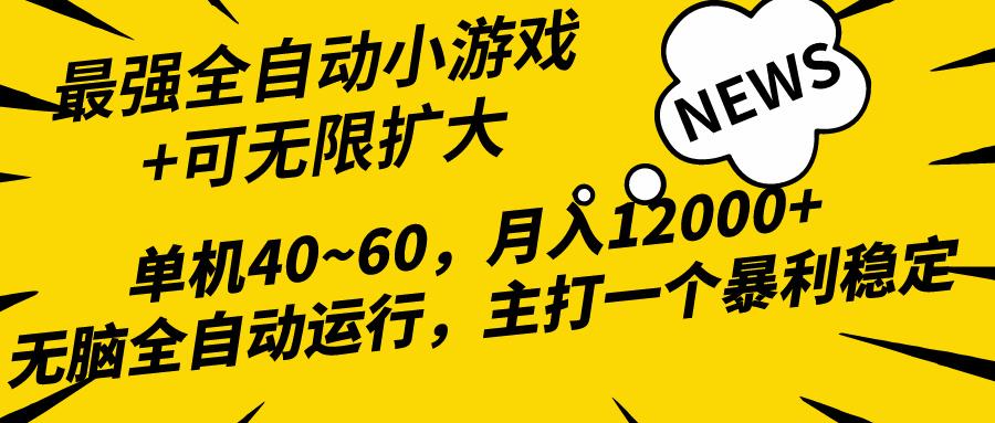 (10046期)2024最新全网独家小游戏全自动，单机40~60,稳定躺赚，小白都能月入过万-鼎铸网
