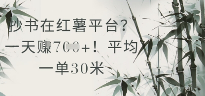 1e4055b6adc040c5c02b5b4b2d61ebe3.jpeg 抄书在小红薯平台?平均一单30米,一天收益几张!