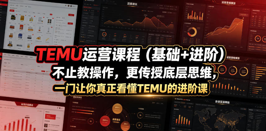 TEMU运营课程(基础+进阶)，不止教操作，更传授底层思维，一门让你真正看懂TEMU的进阶课-鼎铸网