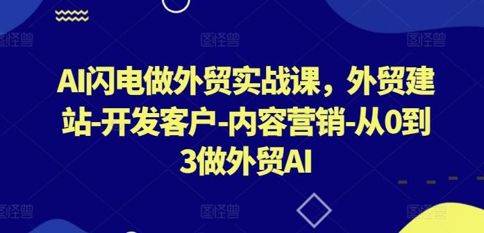 1f94fef21ff8a86bd2094b7823c99e9b.jpeg AI闪电做外贸实战课,外贸建站-开发客户-内容营销-从0到3做外贸AI