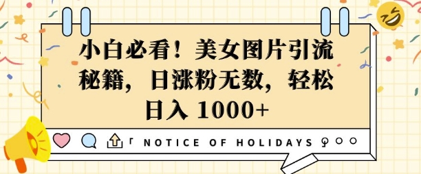 1ff83dae6022867fd486c24762b97981.jpeg 小白必看,美女图片引流秘籍,日涨粉无数,轻松日入几张【揭秘】