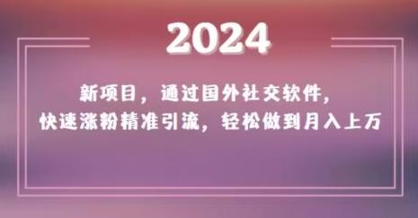 2024新项目,通过国外社交软件,快速涨粉精准引流,轻松做到月入上万【揭秘】-鼎铸网