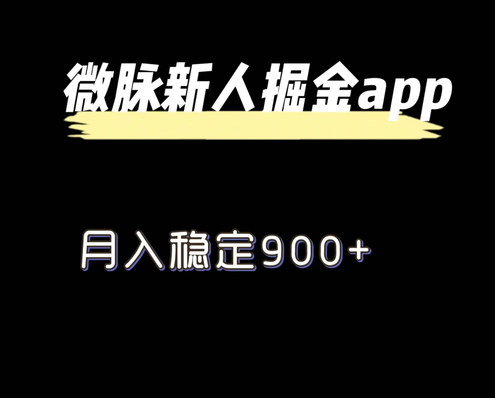 最新微脉长久项目，拉新掘金，月入稳定900+-鼎铸网