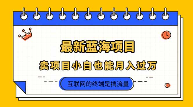 2025年最新蓝海项目，卖项目小白也能月入过万-鼎铸网