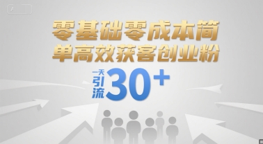 零基础零成本简单高效获客创业粉,一天引流30+-鼎铸网