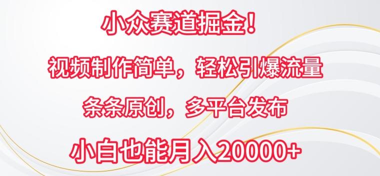 232bb55d71b6db6650998882f0fdd665.jpeg 小众赛道掘金,视频制作简单,轻松引爆流量,条条原创,多平台发布【揭秘】