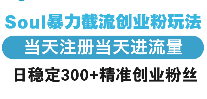 Soul暴力截流创业粉玩法,当天注册当天进流量,日稳定300+精准创业粉丝-鼎铸网