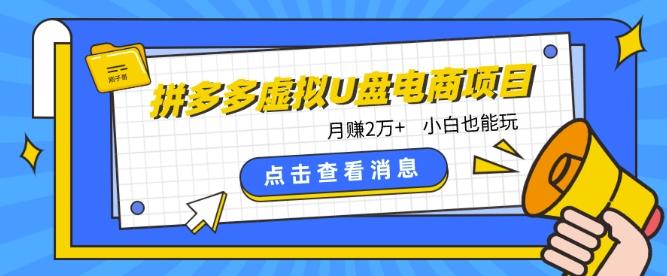 246a4dc58ea27fa260f7dcefee5e5d8e.jpeg 拼多多虚拟U盘电商红利项目:月赚2万+,新手小白也能玩