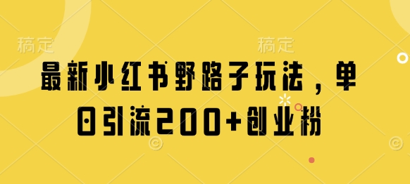 最新小红书野路子玩法,单日引流200+创业粉-鼎铸网