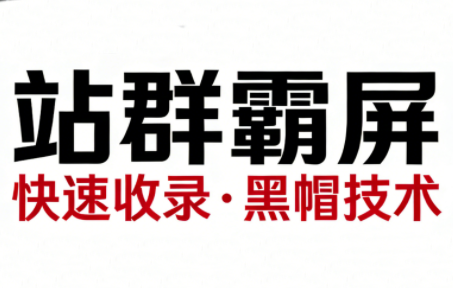 SEO野路子实战全集：快速收录、站群霸屏、黑帽技术-鼎铸网