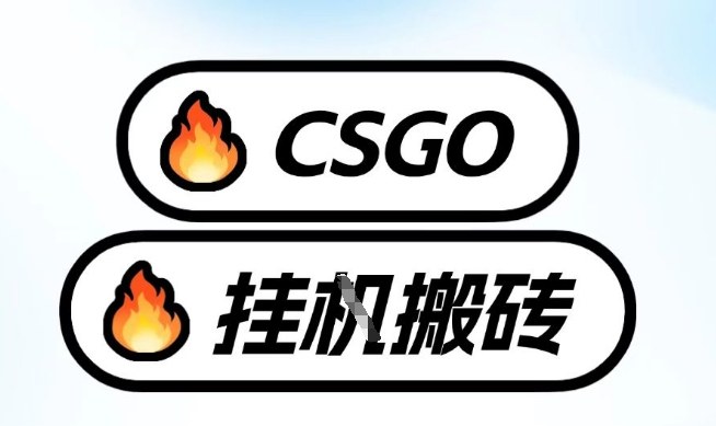 真全网独家CSGO挂G,最新玩法,单日捡漏1K+,不用电脑,不用打游戏【揭秘】-鼎铸网