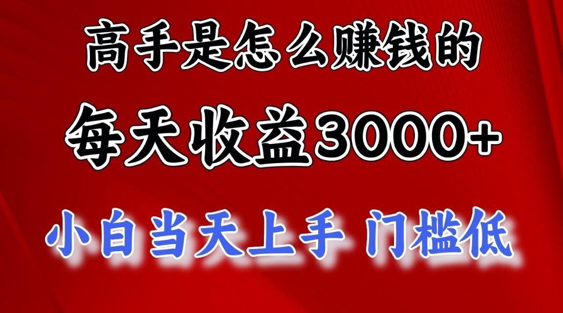 高手是怎么赚钱的，一天收益3000+，闷声发财项目，不是一般人能看懂的-鼎铸网