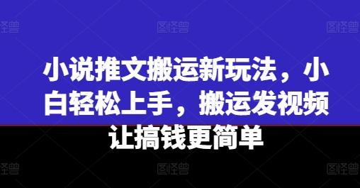 小说推文搬运新玩法，小白轻松上手，搬运发视频让搞钱更简单-鼎铸网