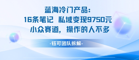 蓝海项目:16条笔记私域变现9750米小众赛道操作的人不多-鼎铸网