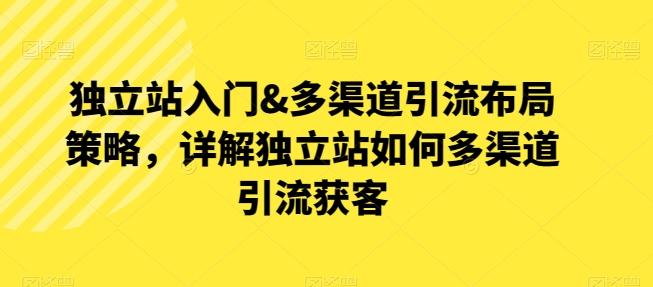 独立站入门&多渠道引流布局策略，详解独立站如何多渠道引流获客-鼎铸网
