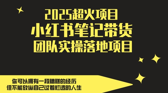 2025超火项目，副业最佳选择，小红书笔记带货团队实操落地项目，，轻松日入5张-鼎铸网
