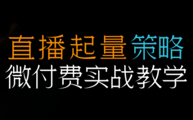 半野老师·直播带货起量与微付费必学课视频号(更新2026)-鼎铸网
