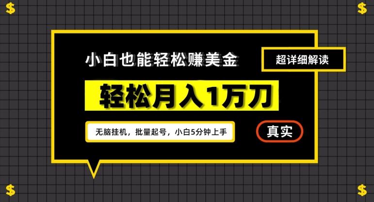谷歌看广告撸美金2.0,无脑挂机,多号操作,月入1万刀【揭秘】-鼎铸网