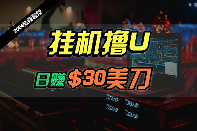 (10013期)日赚30美刀，2024最新海外挂机撸U内部项目，全程无人值守，可批量放大-鼎铸网