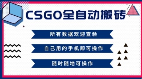 2a47869b22fa3514811e7f8c40b92db8.jpeg CSGO全自动搬砖,年底钱回家好项目,当天可拿到结果,新手小白轻松月入1W+【揭秘】