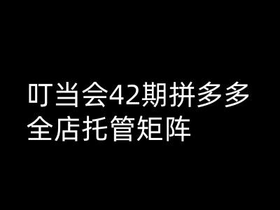 2b9e4c0c9e67d81458c7a1c0881e56bc.jpeg 叮当会拼多多打爆班原创高阶技术第42期,拼多多全店托管矩阵