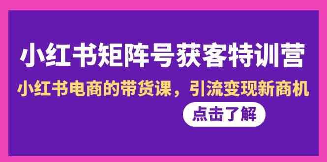 小红书矩阵号获客特训营-第10期，小红书电商的带货课，引流变现新商机-鼎铸网