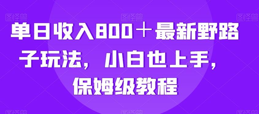 单日收入800＋最新野路子玩法，小白也上手，保姆级教程-鼎铸网