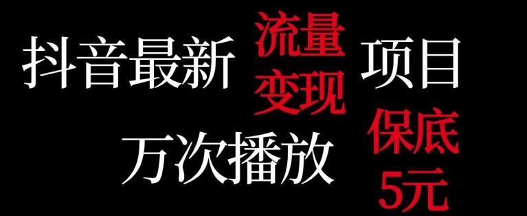 抖音流量变现，万次播放保底5元，额外收入-鼎铸网