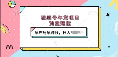 视频号年货项目，流量贼猛，早布局早挣钱，日入上k【揭秘】-鼎铸网