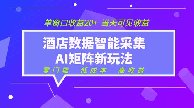 2026酒店数据采集ai智能矩阵新风口  低成本   高收益   当天见收益   单窗口20+-鼎铸网