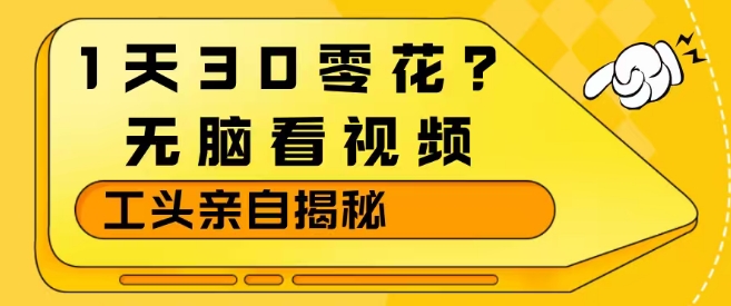 1天30零花？无脑看视频，大佬亲自揭秘-鼎铸网