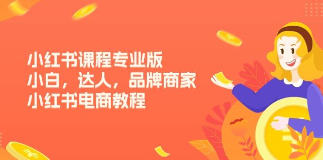 302262c5611add548e266a20e6cfd6e4.jpeg 小红书课程专业版,小白,达人,品牌商家,小红书电商教程(15节