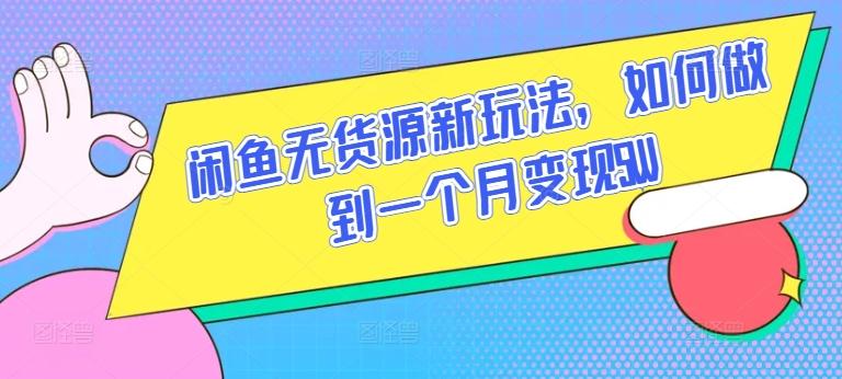 闲鱼无货源新玩法，如何做到一个月变现5W【揭秘】-鼎铸网