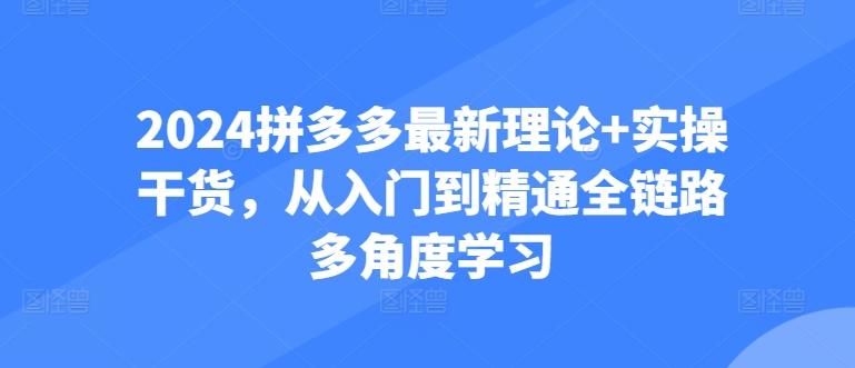 30fcc14ca559ad704dee496028f3372e.jpeg 2024拼多多最新理论+实操干货,从入门到精通全链路多角度学习