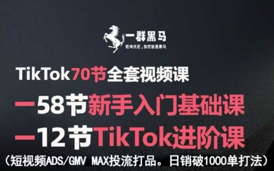312f68dfd9043f30e42977baf5743a5e.jpeg TikTok全套视频课,新手入门+进阶课,短视频ADS-GMV MAX投流打品,日销破1000单打法