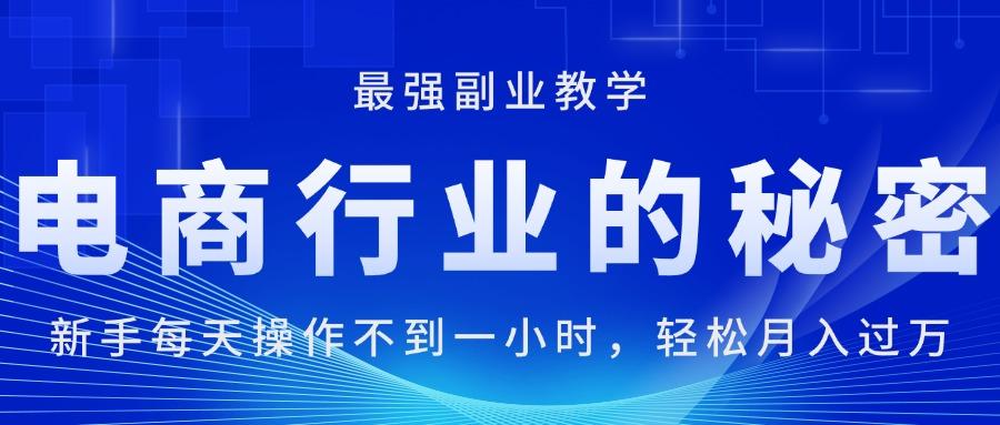 电商行业的秘密，新手每天操作不到一小时，月入过万轻轻松松，最强副业…-鼎铸网