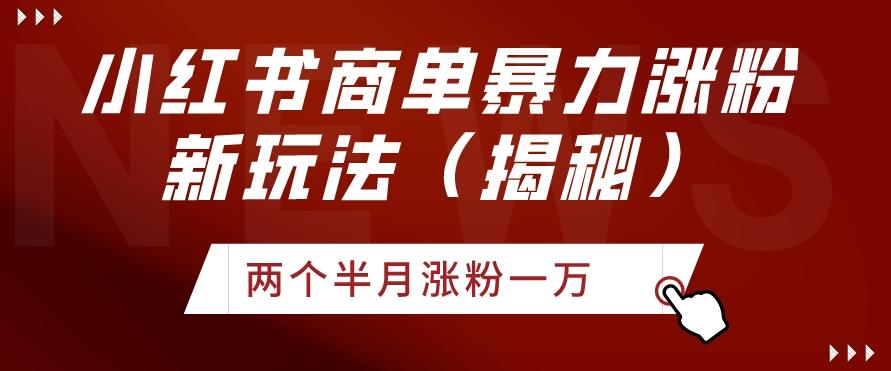 小红书商单暴力涨粉新玩法两个半月涨粉一万（揭秘）-鼎铸网