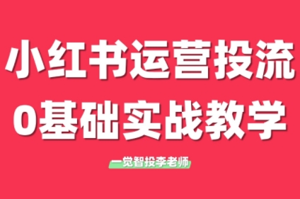 李老师·小红书运营投流,0基础实战教学(更新)-鼎铸网