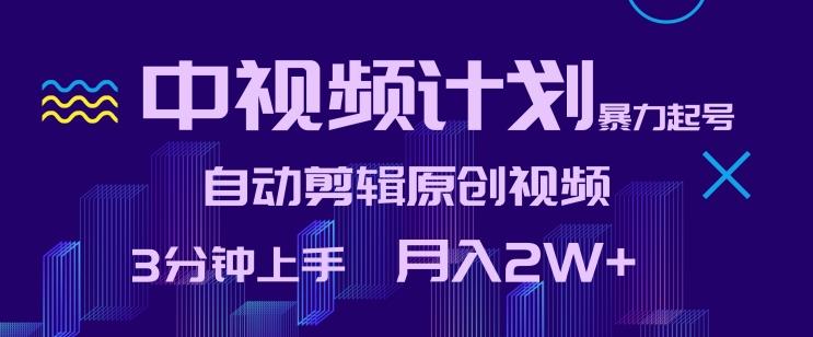 中视频计划暴力起号，自动剪辑原创视频，3分钟上手，月入2W+【揭秘】-鼎铸网