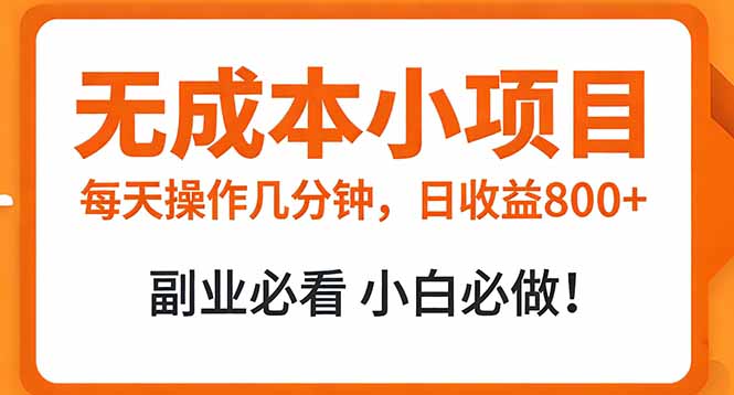 无成本小项目 每天操作几分钟，真实日收益800+ 副业必看 小白必做！-鼎铸网
