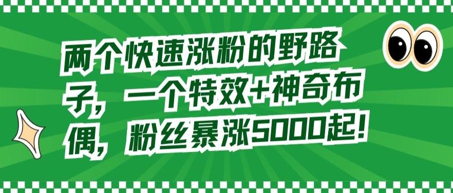3564d7950ebb4a8556d3ed057fe96e4f.jpeg 两个快速涨粉的野路子,一个特效+神奇布偶,粉丝暴涨5000起【揭秘】