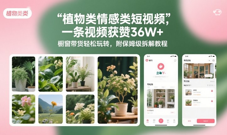 植物类情感类短视频,一条视频获赞36W+,橱窗带货轻松玩转,附保姆级拆解教程-鼎铸网