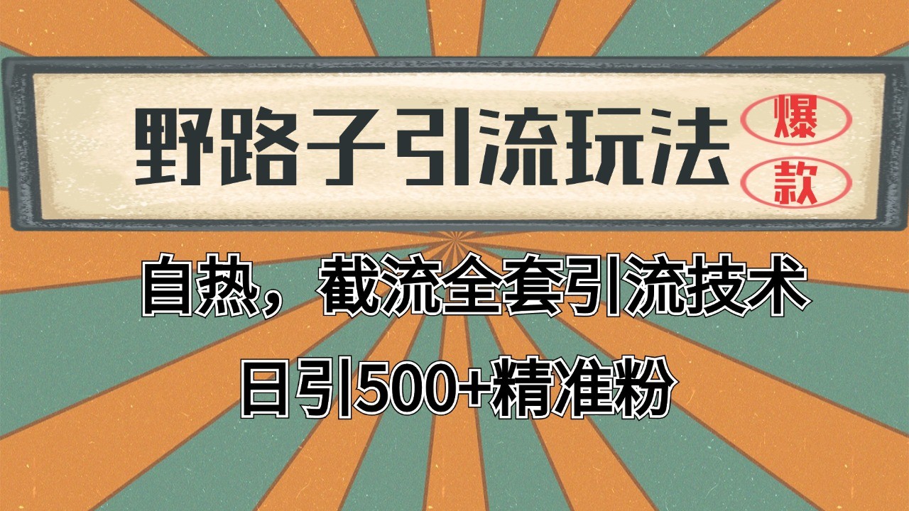 抖音小红书视频号全平台引流打法，全自动引流日引2000+精准客户-鼎铸网