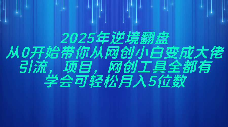 2025年逆境翻盘，从0开始带你从网创小白变成大佬，引流，项目，网创工…-鼎铸网