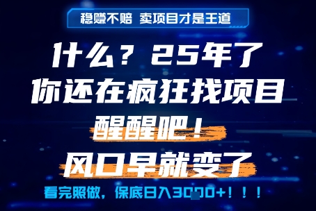 37416fd6a4603004ee615a025d449c6d.jpeg 什么?25年你还在疯狂找项目做,醒醒吧,看完这些你全都懂了!【揭秘】