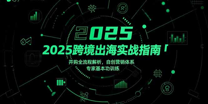 2025跨境出海实战指南,并购全流程解析,自创营销体系,专家基本功训练-鼎铸网