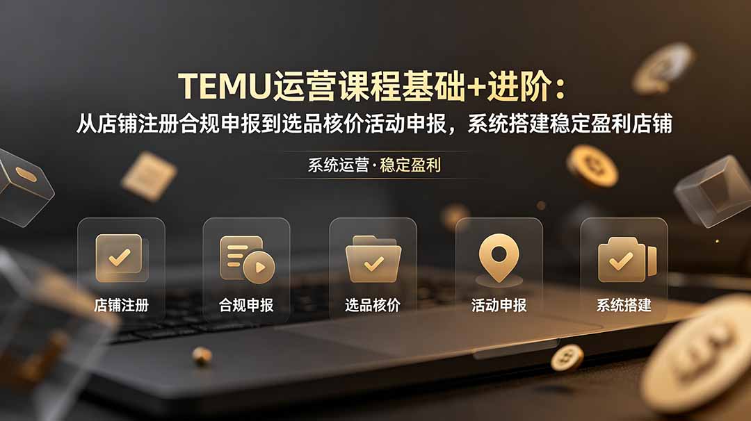 TEMU运营课程(基础+进阶-鼎铸网