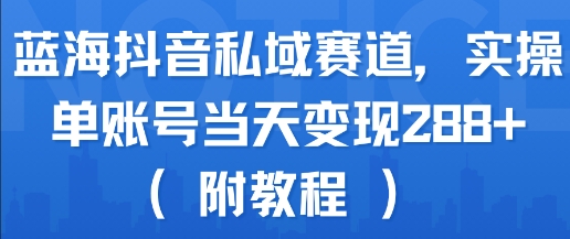 蓝海抖音私域赛道，实操单账号当天变现288+(附教程)-鼎铸网