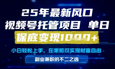 25年最新风口，视频号托管项目，单日保底变现1k+，手把手教学【揭秘】-鼎铸网