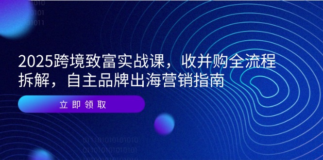 2025跨境致富实战课,收并购全流程拆解,自主品牌出海营销指南-鼎铸网
